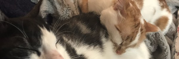 FedererKate Profile Banner