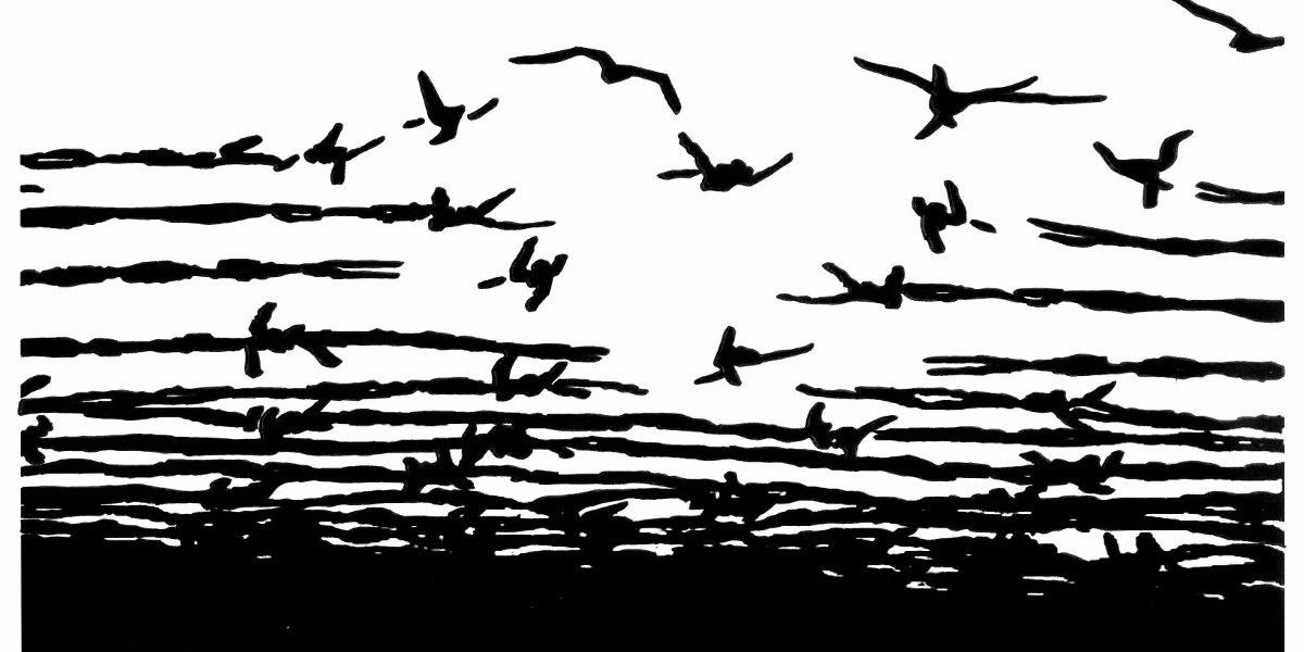 Christian Schaft banner