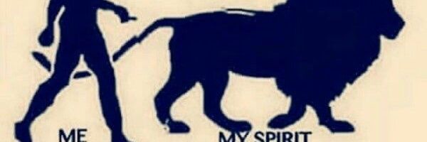 Militint Punisher banner