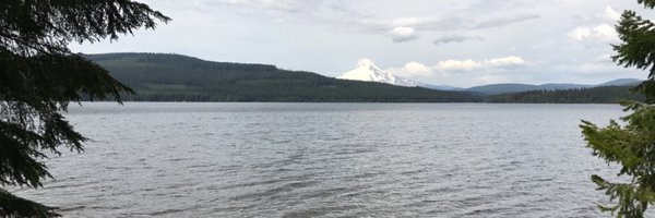 Bendotts Profile Banner