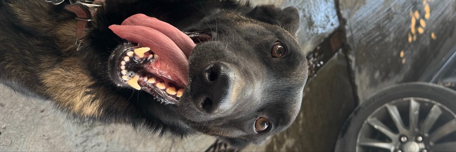 LizbeethTorresG's profile banner image