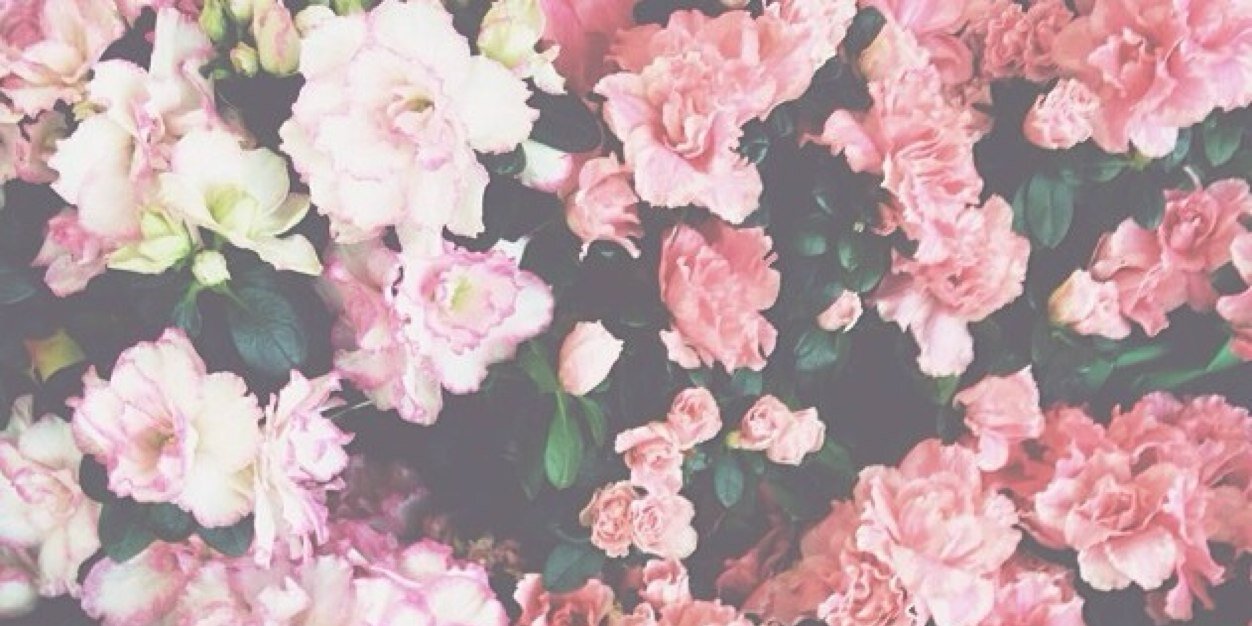 LilyMrtz's profile banner image