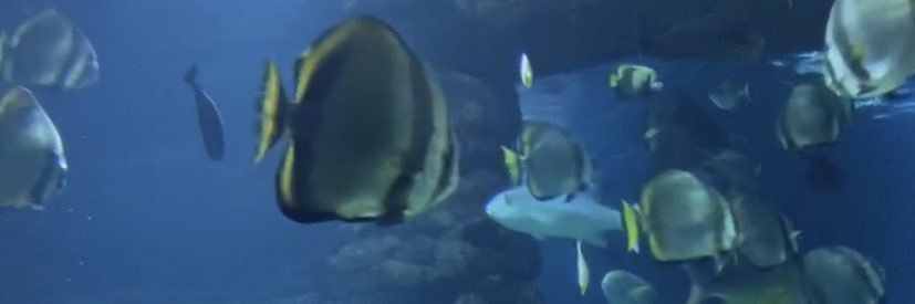 stephaniep75's profile banner image