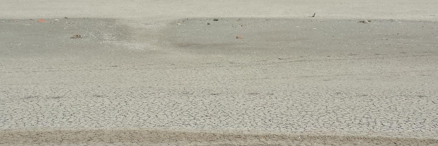 Jose a. Romero s banner