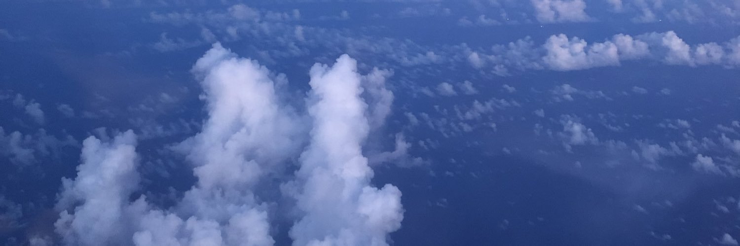 mintluvy's profile banner image