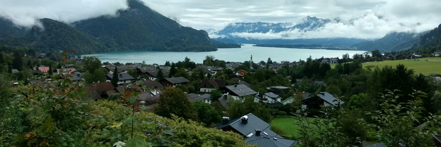 Daniel Houston banner