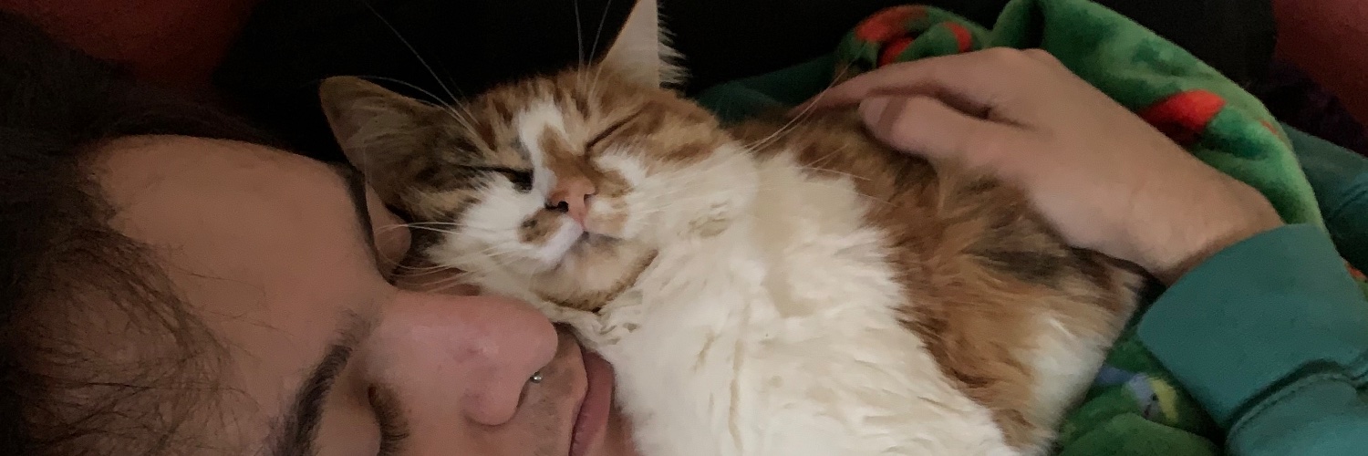 SOCKNOGGIN's profile banner image