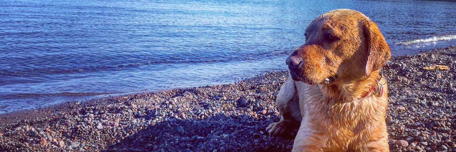 jaceee's profile banner image