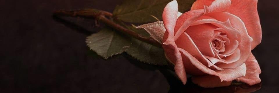 MagdaSoto12's profile banner image
