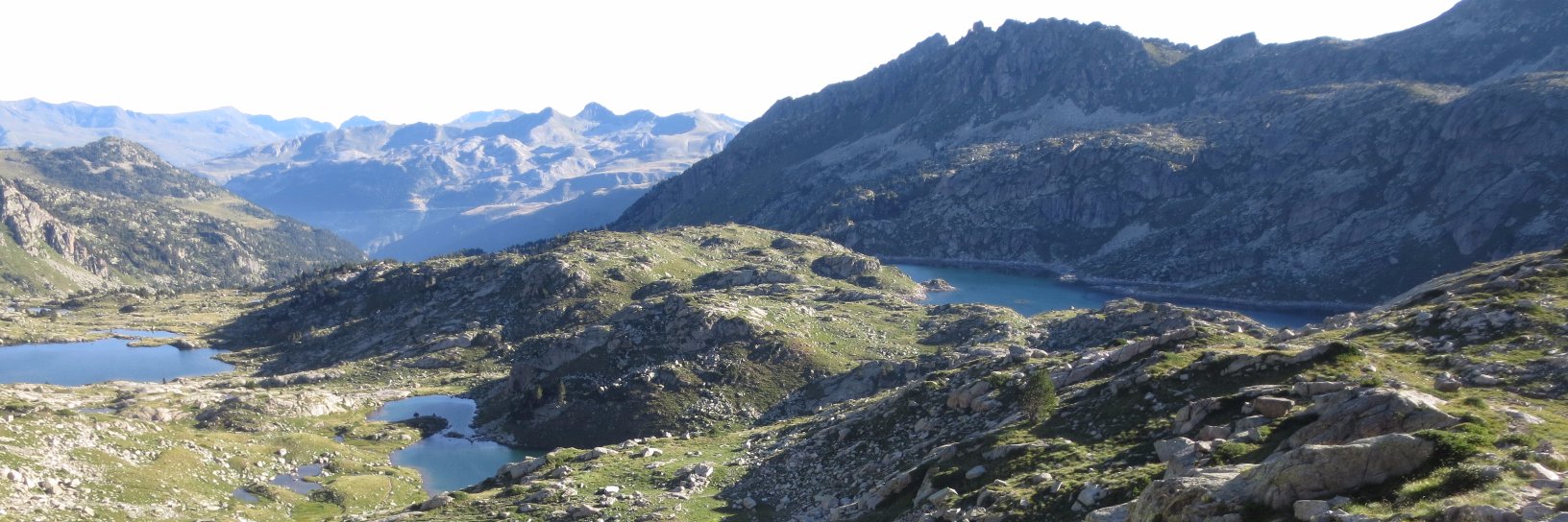 Elena Jiménez-Botías banner