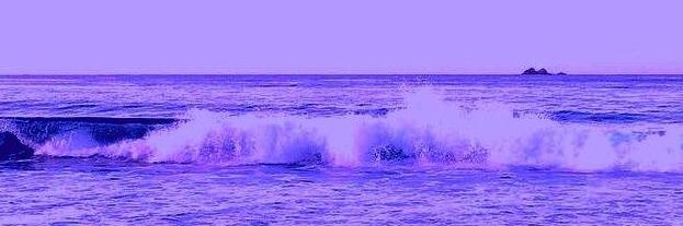 dusky_babe's profile banner image