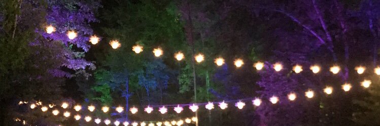 jenniethomas8's profile banner image