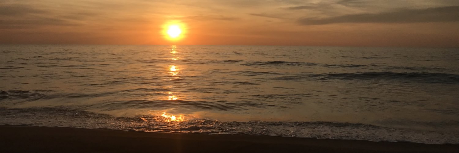 maecldrn's profile banner image