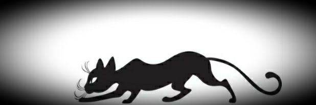 Robinkitty 🐈 banner