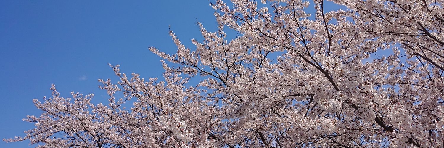 spoo2633's profile banner image