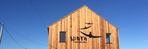 spurnbirdobs Profile Banner