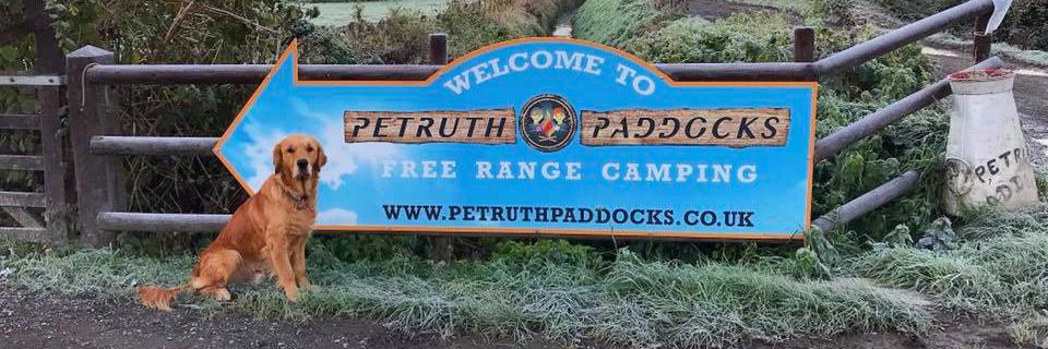 Petruth Paddocks banner