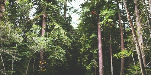 darrenaticsLPC's profile banner image