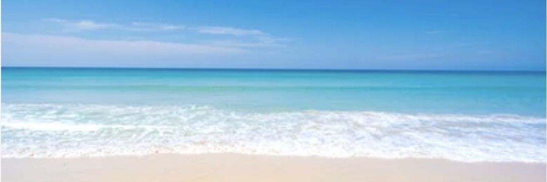 Shafeea Zubair 🇲🇻 banner