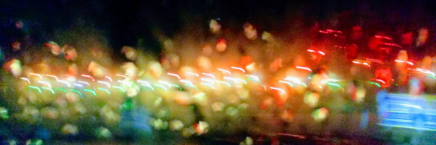 sanchitadg's profile banner image