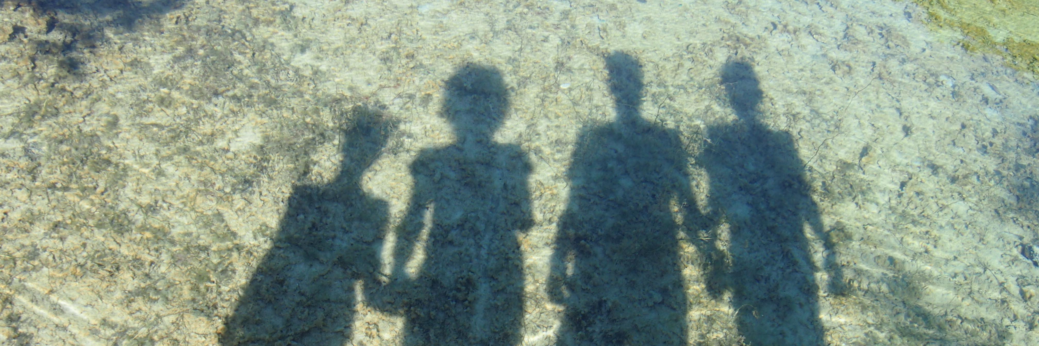 BVSchooneveld's profile banner image