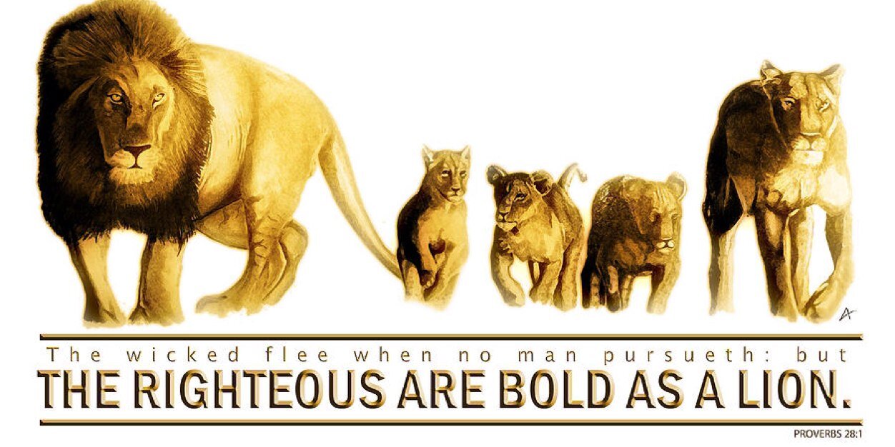 sharedfaith's profile banner image