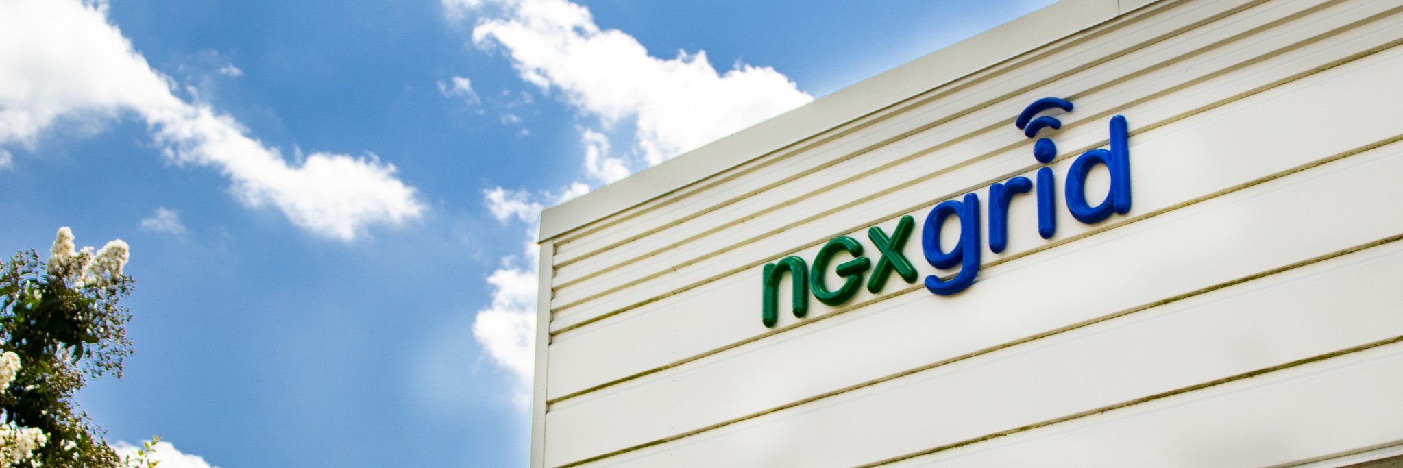 nexgrid's profile banner image