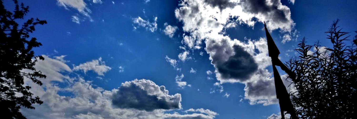 bioni samp - #puffinpulse banner