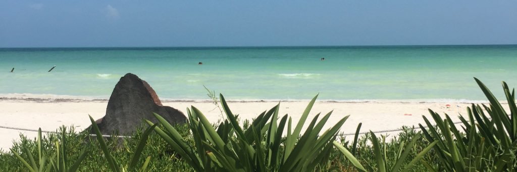 jkiernan92's profile banner image