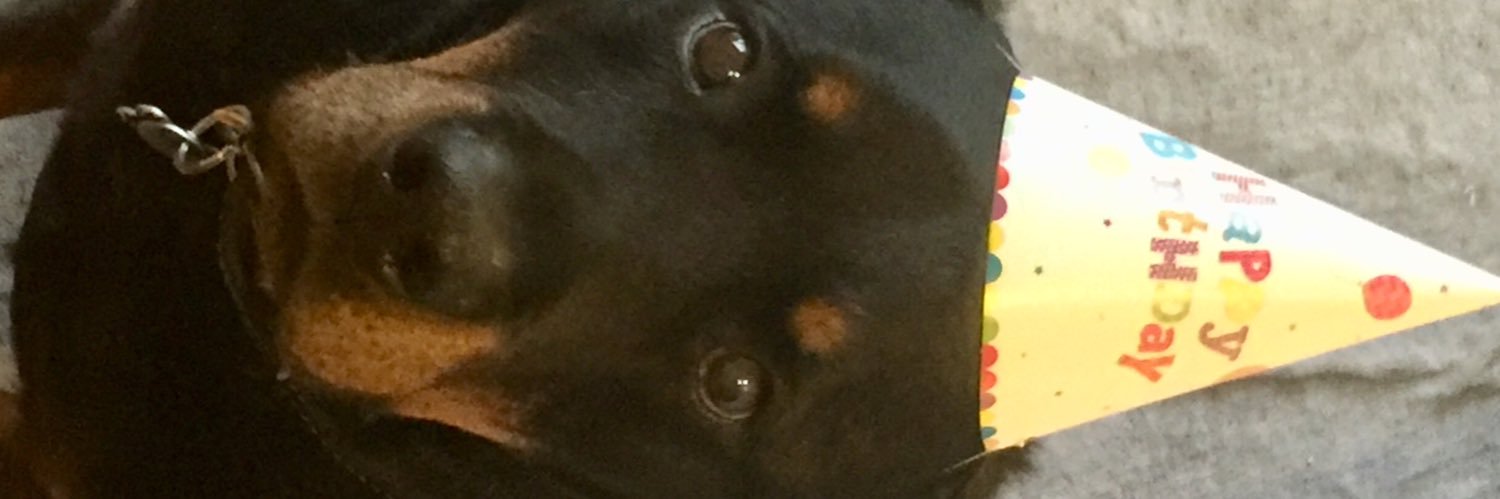 b_agbergin's profile banner image