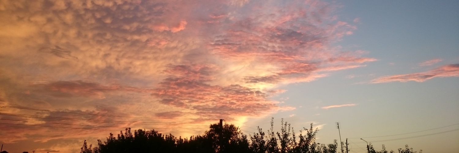 Anne O banner