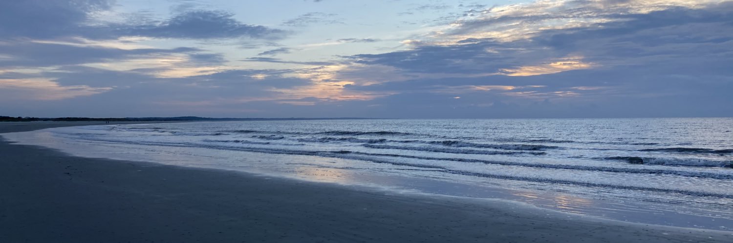 Taylor Wright banner