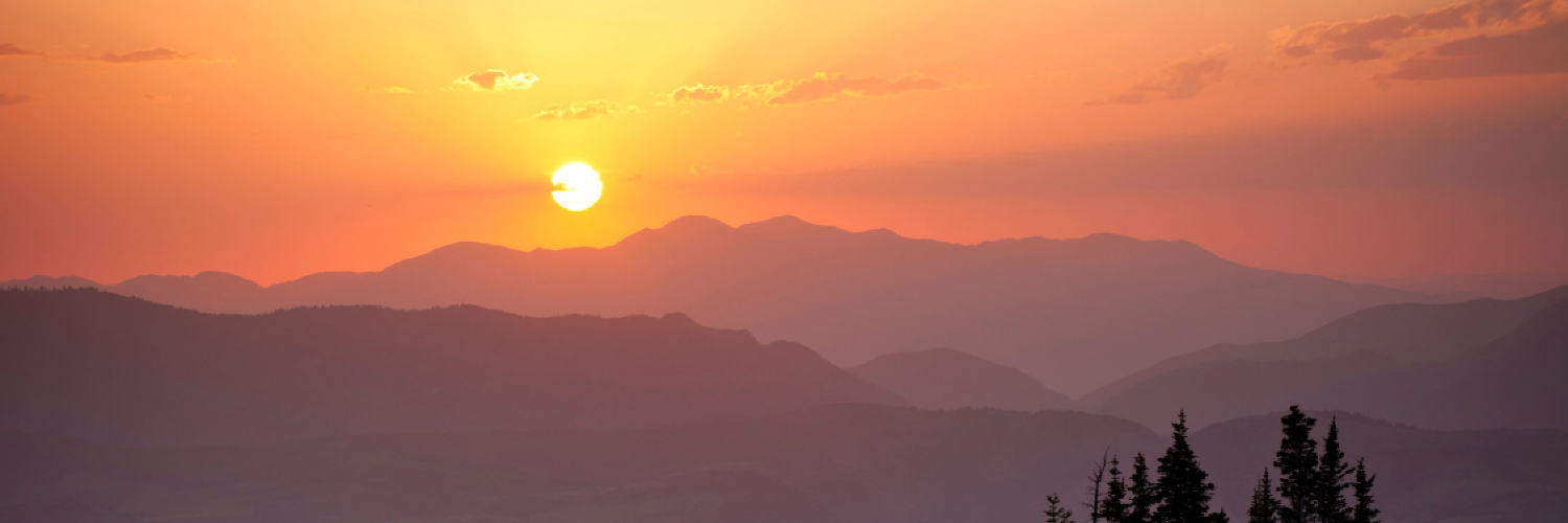 Elliott Bisnow banner