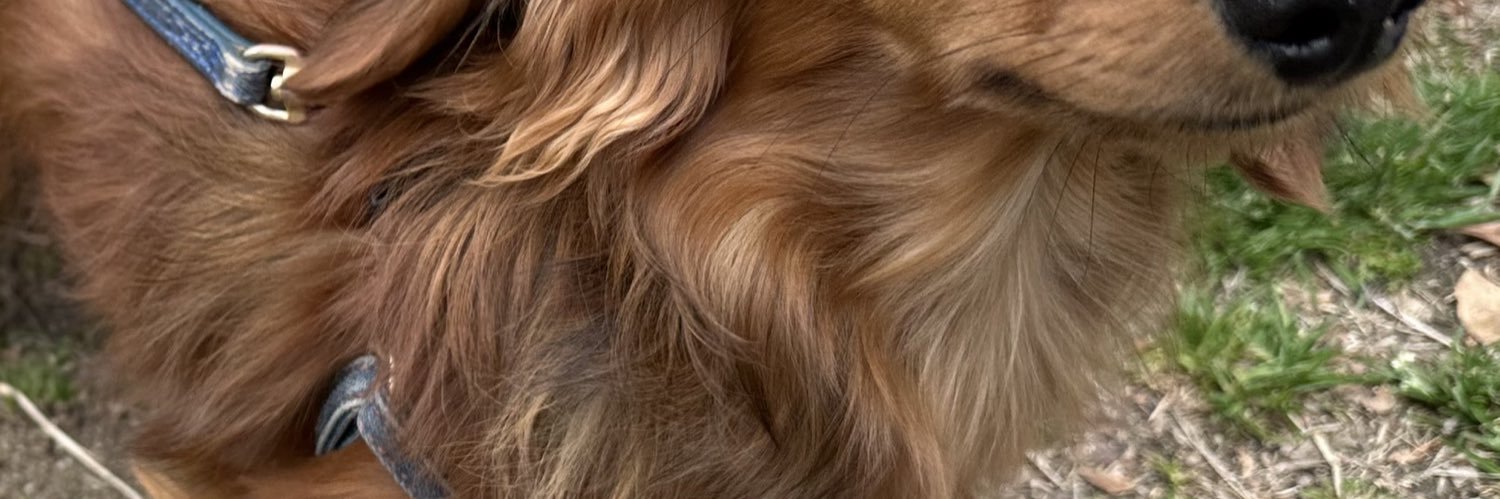 appleneko2's profile banner image