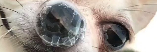 leeeemeelone's profile banner image