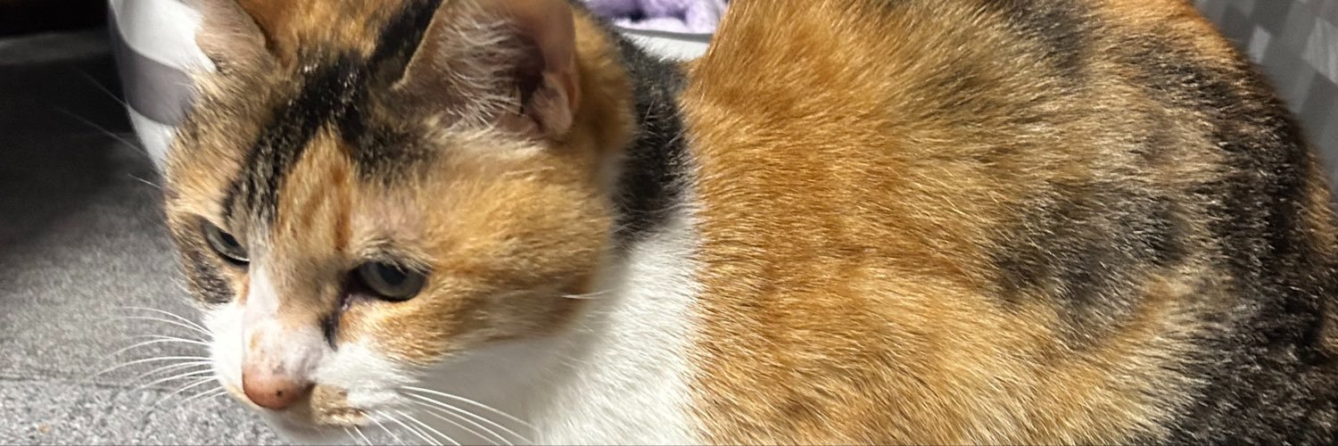 Ayari73Cat's profile banner image
