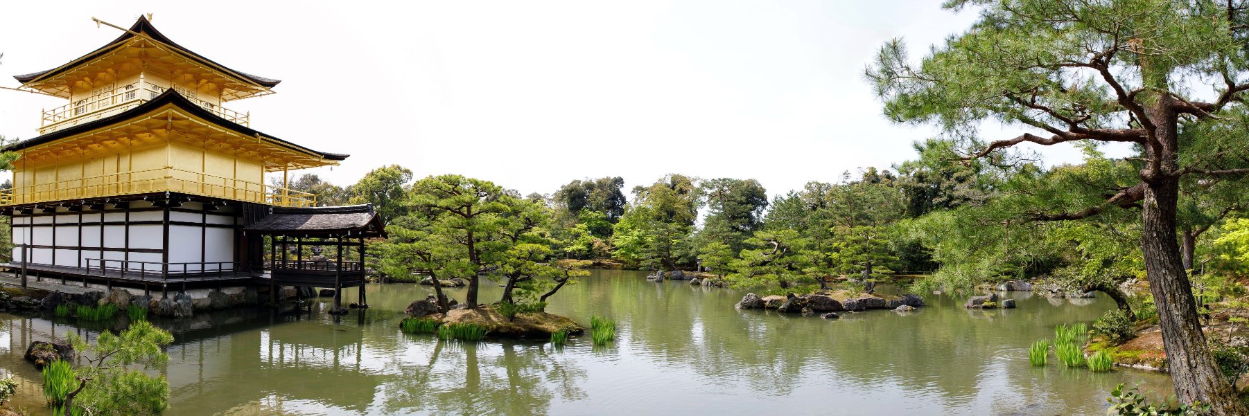 Empress Zucchini banner