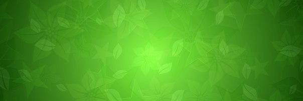 ToriflowersSpb's profile banner image