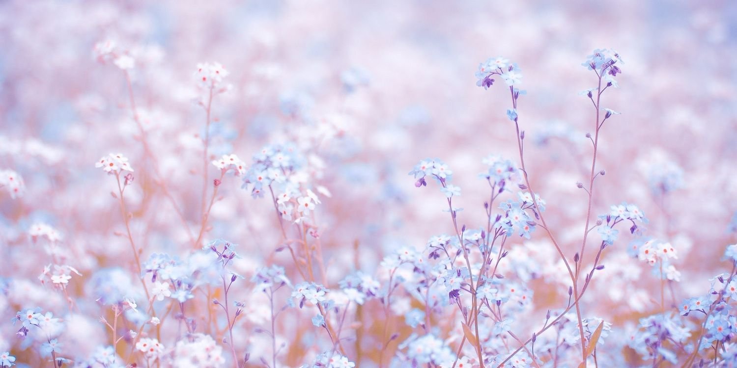 녹색보안관 banner