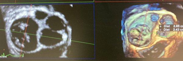 mgonzale2 Profile Banner