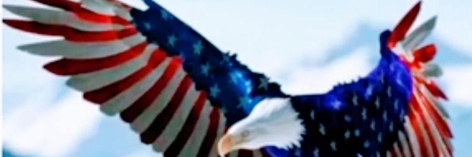 @Prettynickle banner