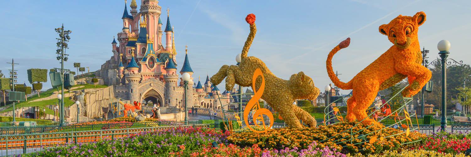 disneyfound's profile banner image