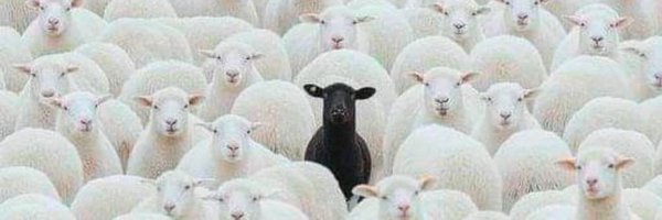 elidaruler Profile Banner