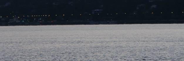 AlbaLucera's profile banner image