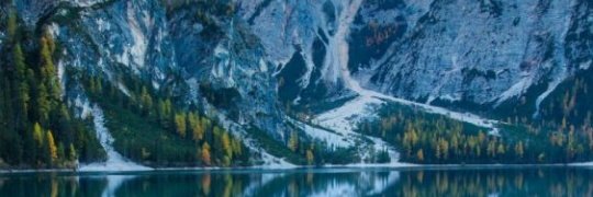 El_Gecko_ 🇸🇻 banner