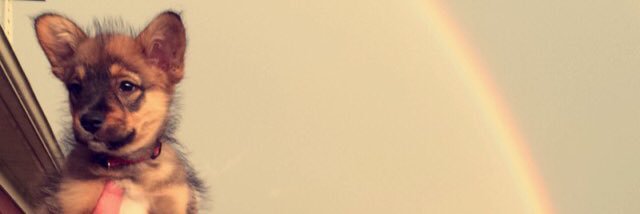 mannvswild's profile banner image