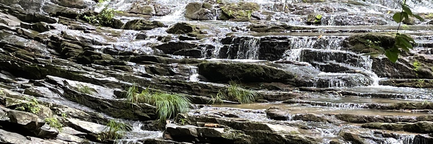 Heather Carleton, PhD banner