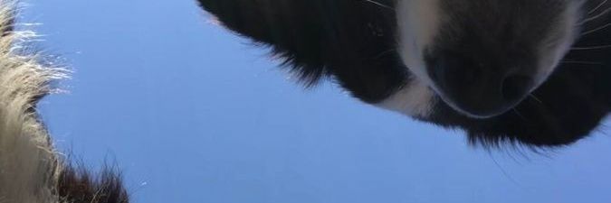 fabulouesz's profile banner image