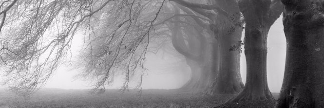 Alone____12's profile banner image