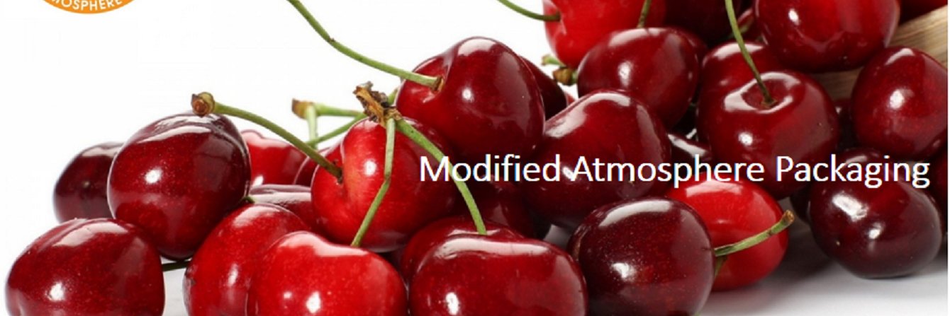 freshplusmap's profile banner image